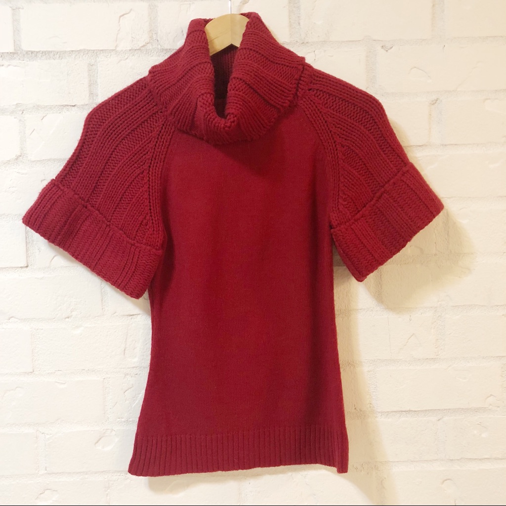 Express Short Sleeve Turtleneck Sweater